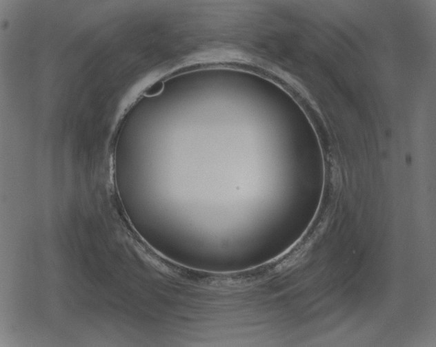 X0000078291366200611101058