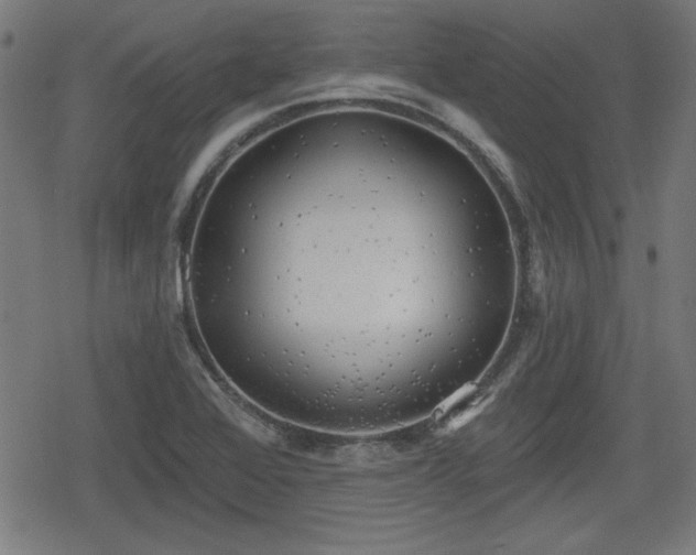 X0000078291368200611101057