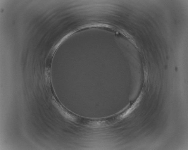 X0000078291369200611101057