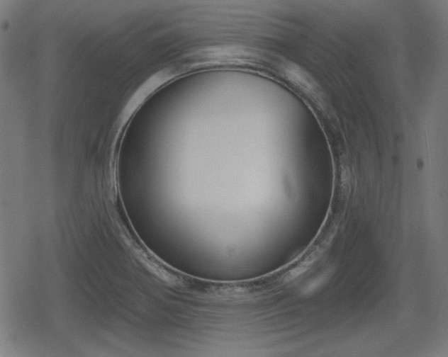 X0000078291370200611101057