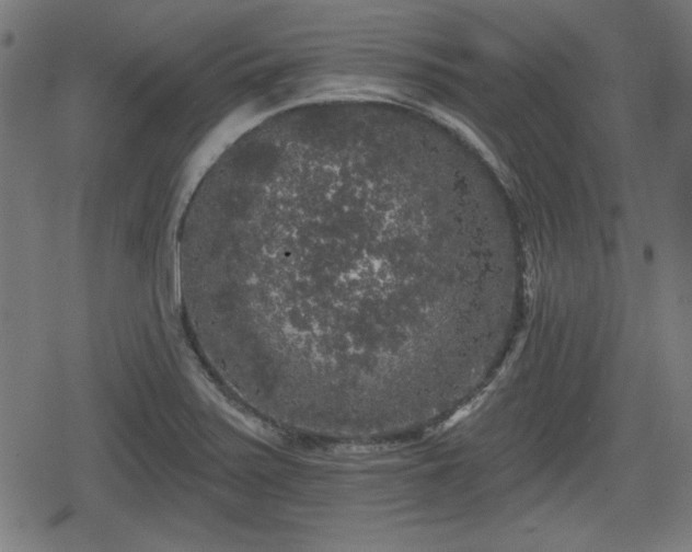 X0000078291371200611101057