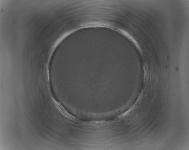 X0000078291372200611101057