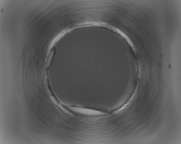 X0000078291373200611101057