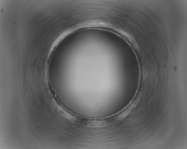 X0000078291374200611101057