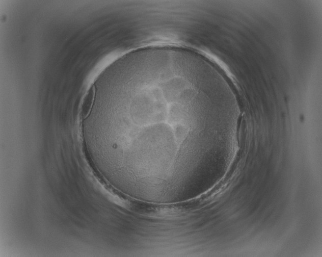 X0000078291375200611101057