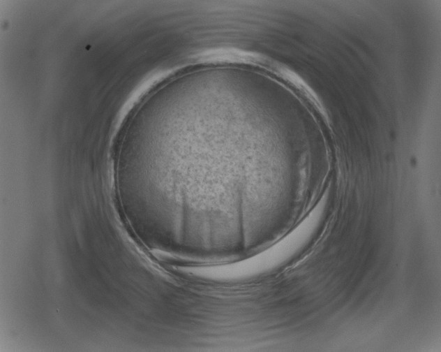 X0000078291376200611101057