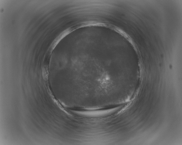 X0000078291377200611101057