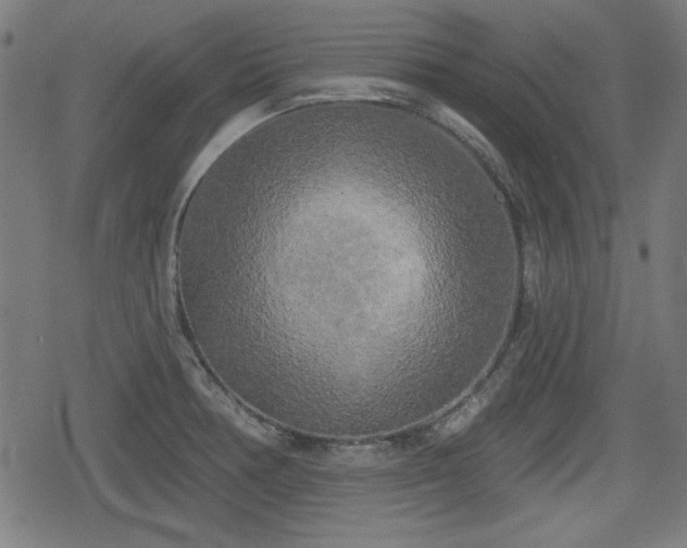 X0000078291378200611101057