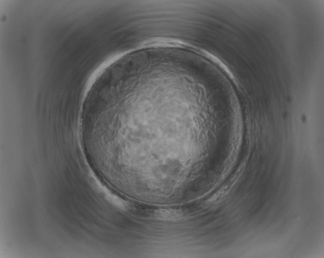 X0000078291379200611101057