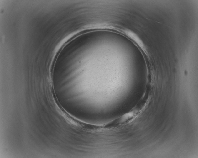 X0000078291380200611101057