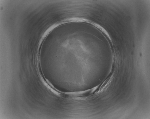 X0000078291381200611101057