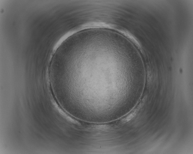 X0000078291382200611101057