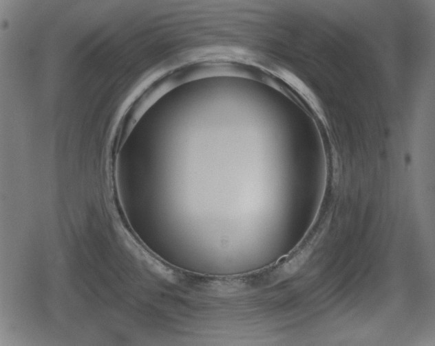 X0000078291384200611101057