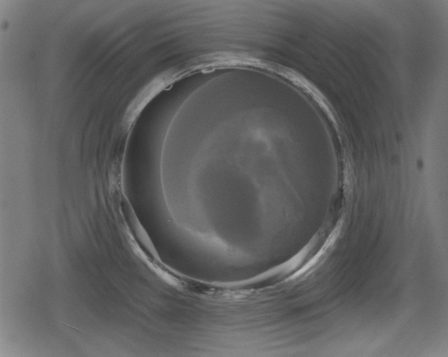 X0000078291385200611101057