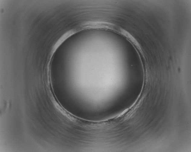 X0000078291386200611101057