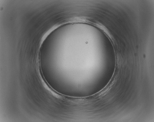 X0000078291387200611101057