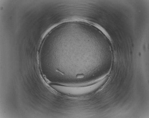 X0000078291388200611101057