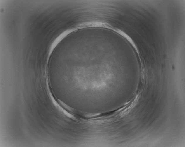 X0000078291389200611101057