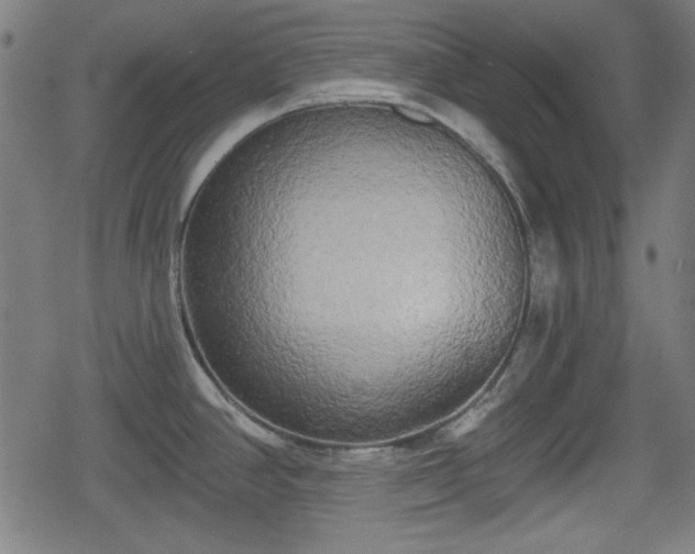 X0000078291390200611101057