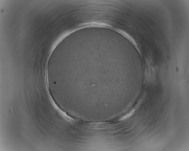 X0000078291391200611101057