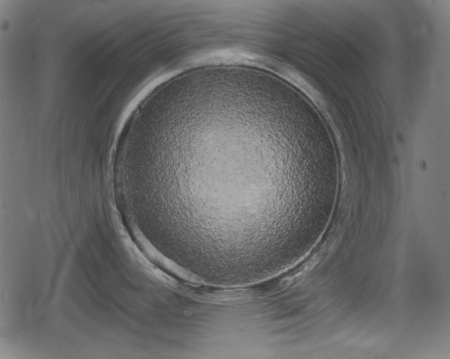 X0000078291392200611101057