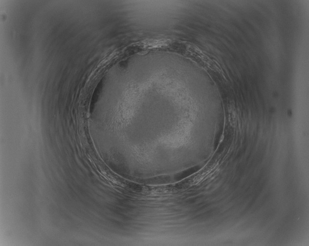 X0000078291393200611101056