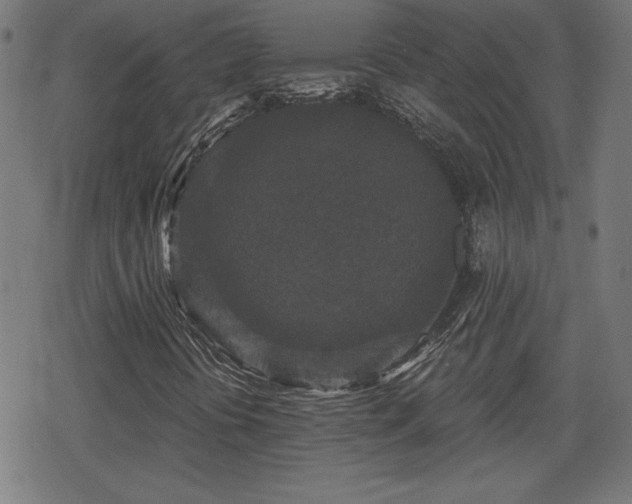 X0000078291394200611101056