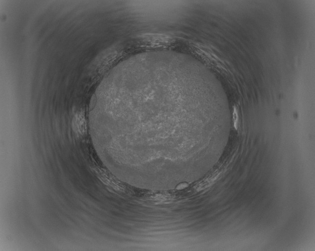 X0000078291395200611101056