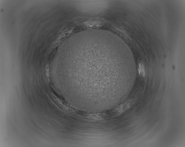 X0000078291396200611101056