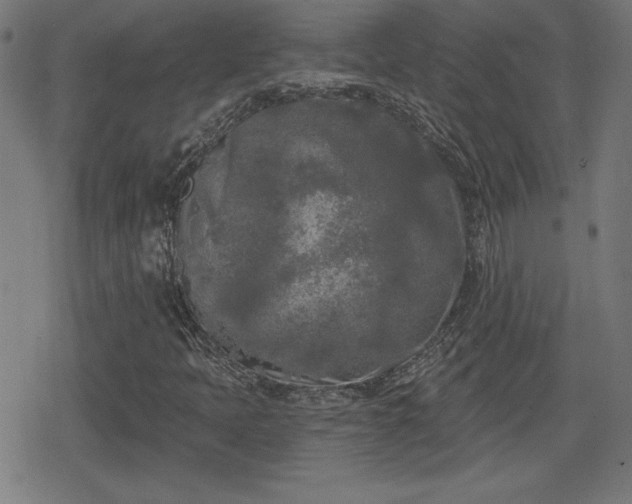 X0000078291397200611101056