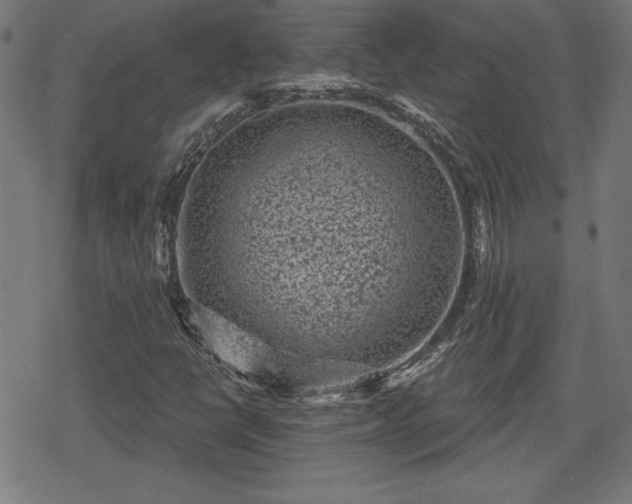 X0000078291398200611101056