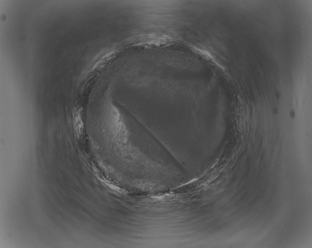 X0000078291399200611101056