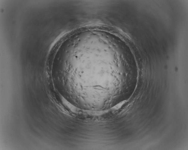 X0000078291400200611101056