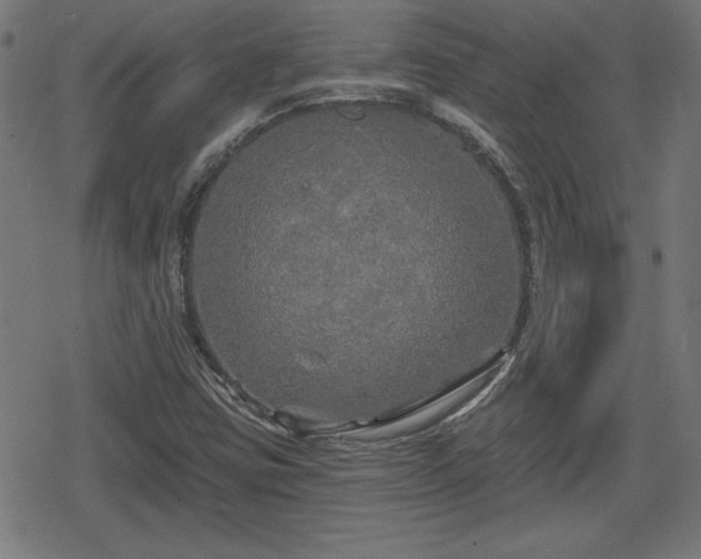 X0000078291403200611101056