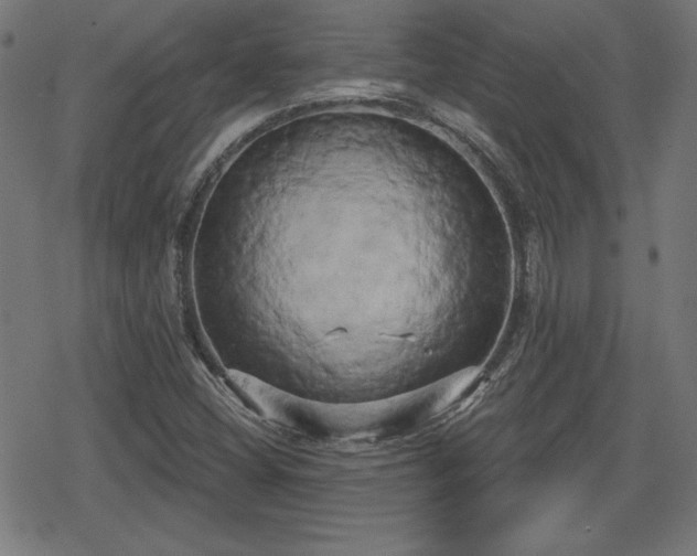 X0000078291404200611101056