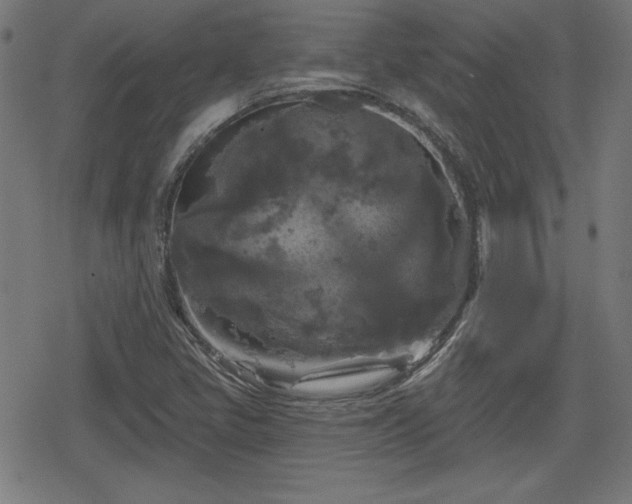 X0000078291405200611101056