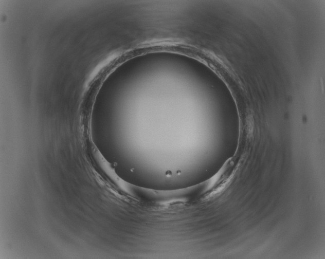 X0000078291406200611101057