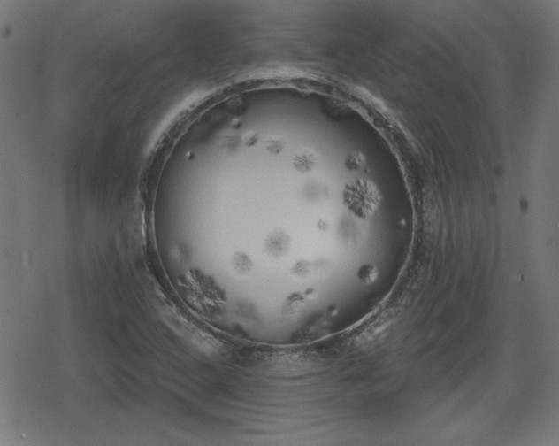 X0000078291408200611101057