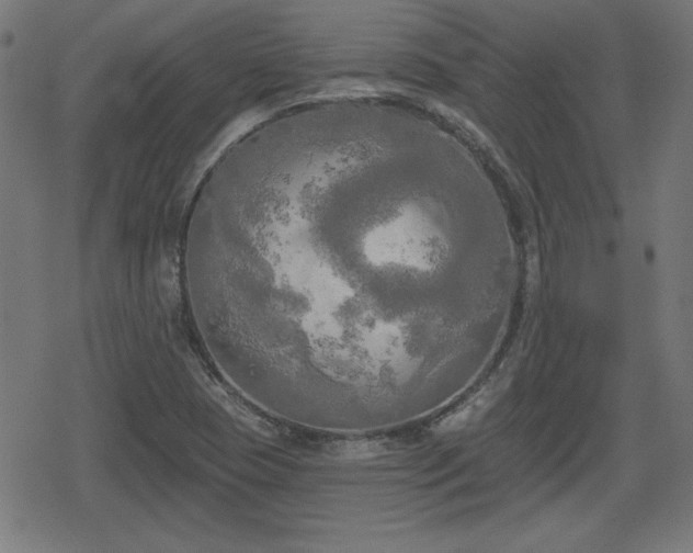 X0000078291409200611101057