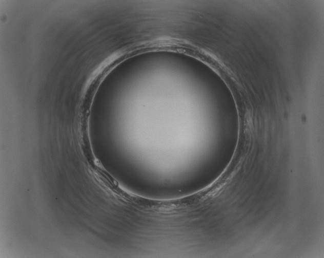 X0000078291410200611101057