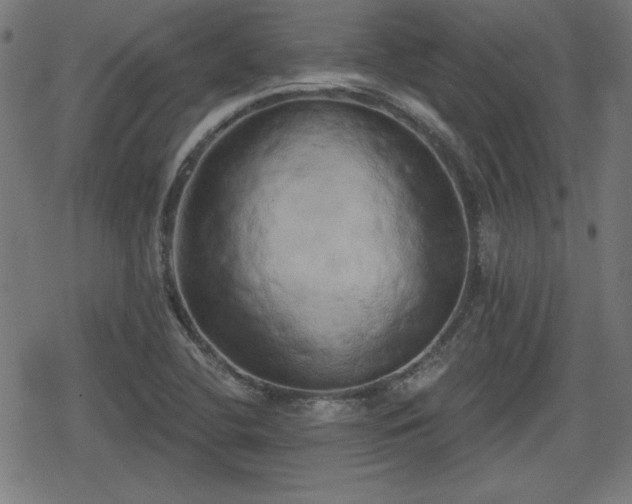 X0000078291412200611101057