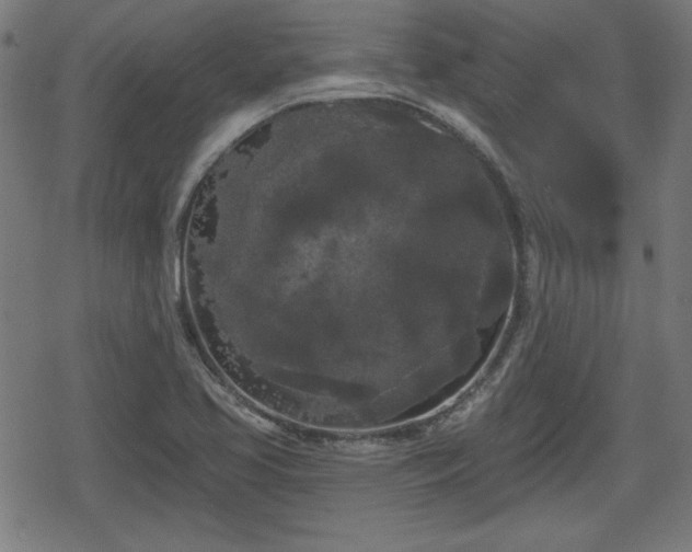 X0000078291413200611101057