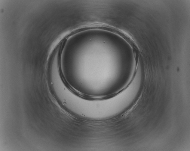 X0000078291414200611101057