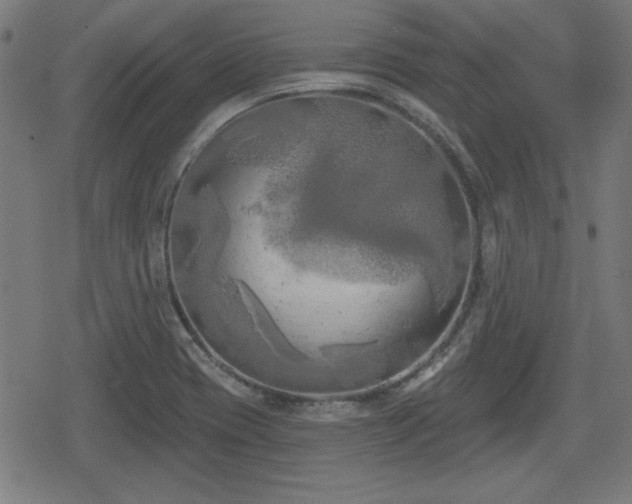 X0000078291417200611101057