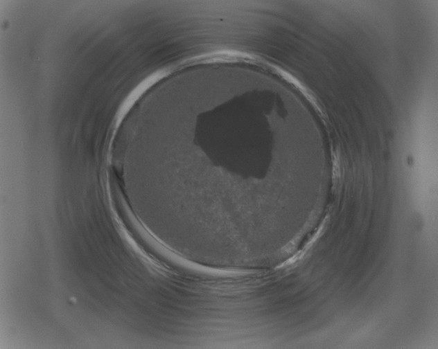 X0000078291418200611101057