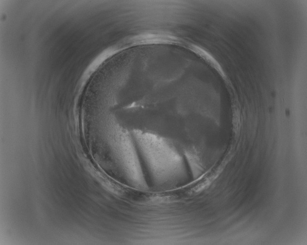 X0000078291419200611101057