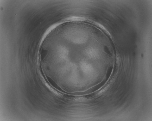 X0000078291421200611101057