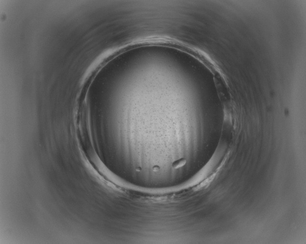 X0000078291422200611101057