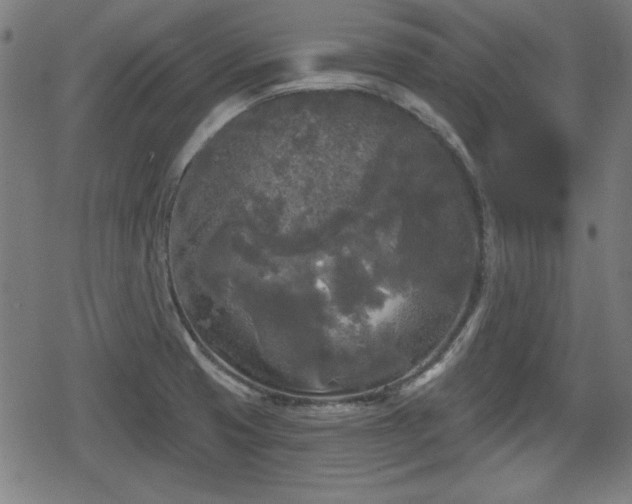 X0000078291425200611101057