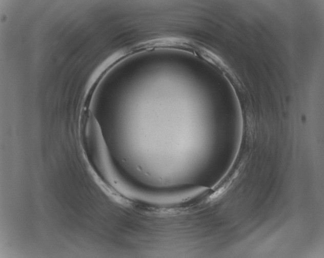 X0000078291426200611101057